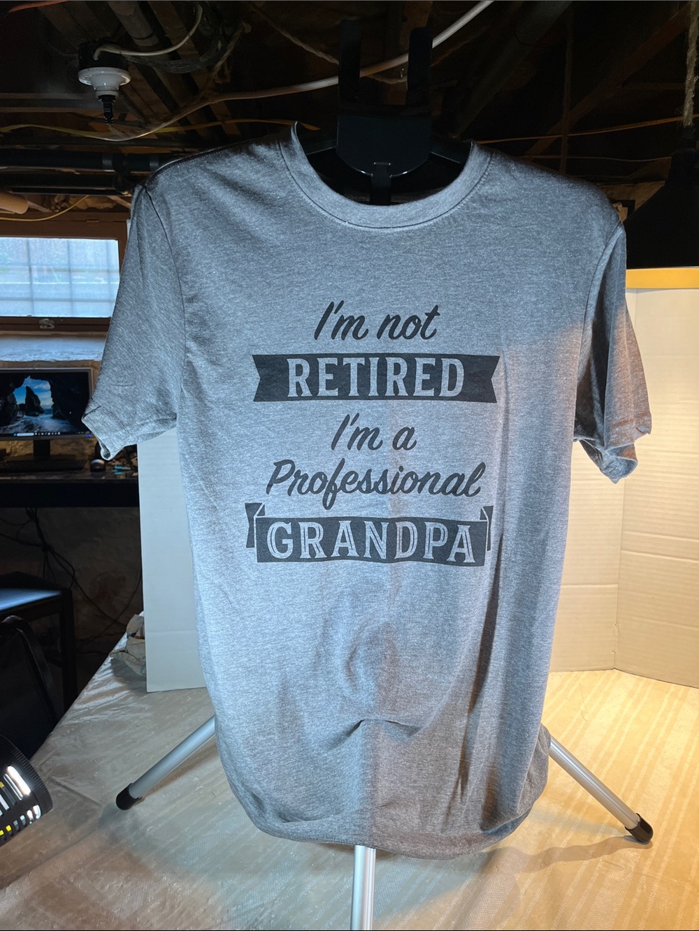 Crazy Dog Gray Men's Graphic Tee "I'm Not Retired I'm a Professional Grandpa"